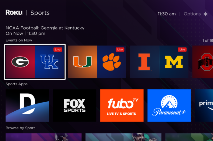Roku's Sports Section Is Transformative For Streaming